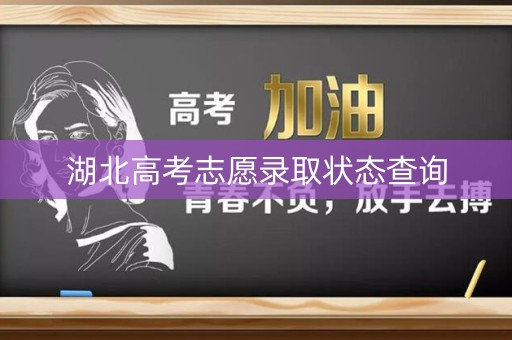 湖北高考志愿录取状态查询