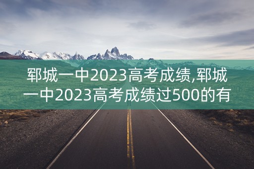 郓城一中2023高考成绩,郓城一中2023高考成绩过500的有多少人