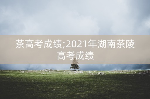 茶高考成绩;2021年湖南茶陵高考成绩