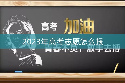 2023年高考志愿怎么报