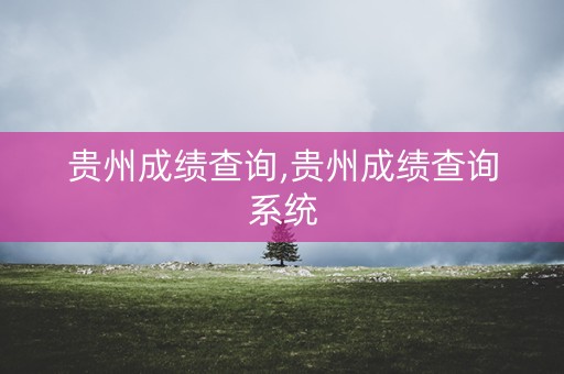 贵州成绩查询,贵州成绩查询系统