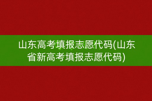 山东高考填报志愿代码(山东省新高考填报志愿代码) 山东高考填报志愿代码(山东省新高考填报志愿代码)