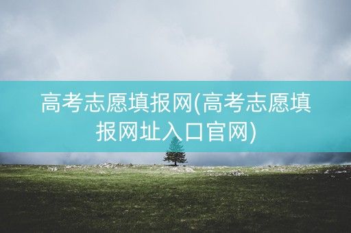 高考志愿填报网(高考志愿填报网址入口官网)
