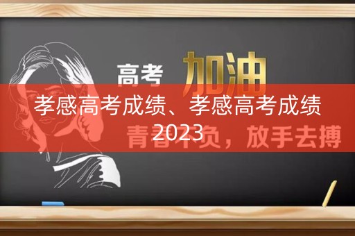 孝感高考成绩、孝感高考成绩2023