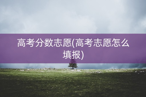 高考分数志愿(高考志愿怎么填报)