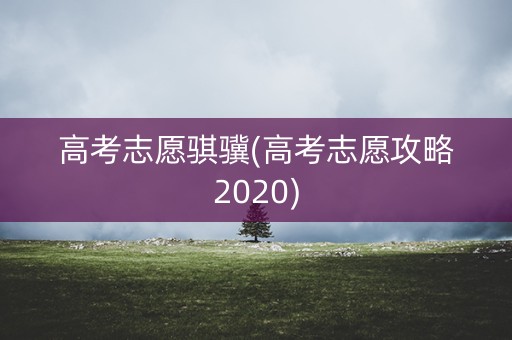 高考志愿骐骥(高考志愿攻略2020) 高考志愿骐骥(高考志愿攻略2020)