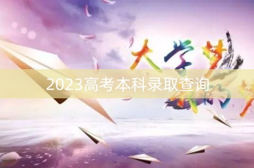 2023高考本科录取查询