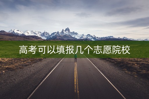 高考可以填报几个志愿院校