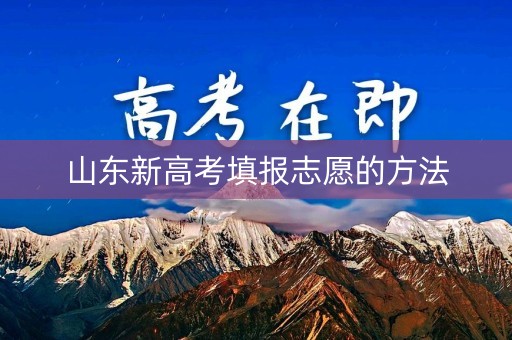 山东新高考填报志愿的方法