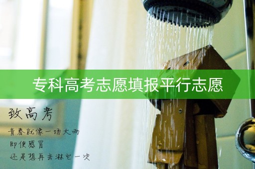 专科高考志愿填报平行志愿