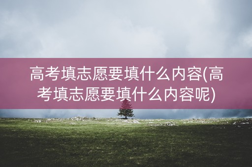 高考填志愿要填什么内容(高考填志愿要填什么内容呢) 高考填志愿要填什么内容(高考填志愿要填什么内容呢)