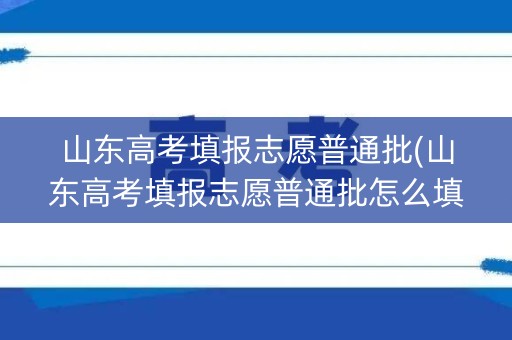 山东高考填报志愿普通批(山东高考填报志愿普通批怎么填)