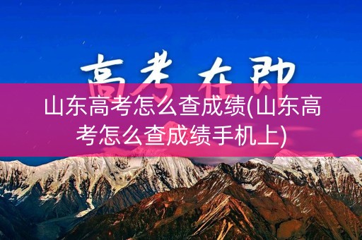 山东高考怎么查成绩(山东高考怎么查成绩手机上)