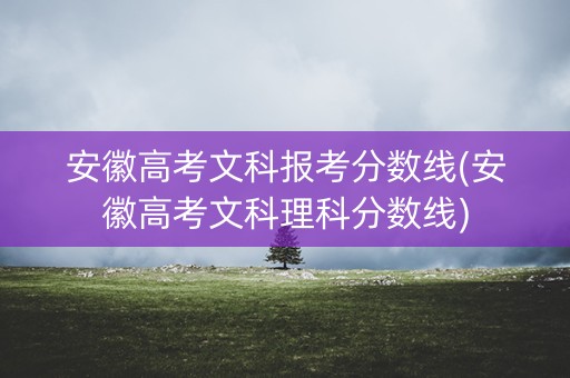 安徽高考文科报考分数线(安徽高考文科理科分数线)