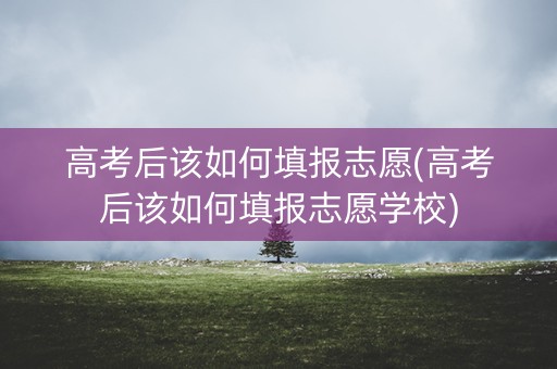 高考后该如何填报志愿(高考后该如何填报志愿学校)