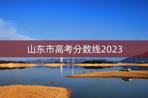 山东市高考分数线2023