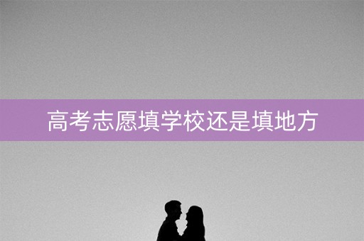 高考志愿填学校还是填地方 高考志愿填学校还是填地方