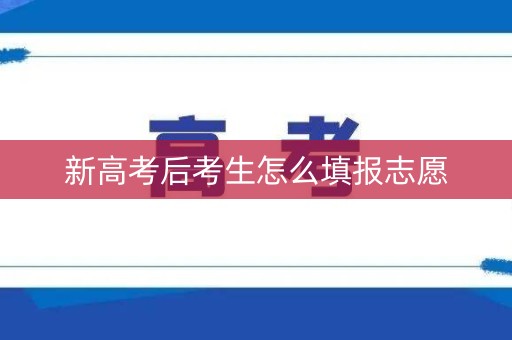 新高考后考生怎么填报志愿 新高考后考生怎么填报志愿