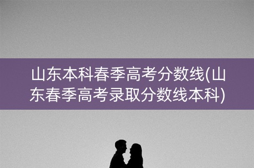 山东本科春季高考分数线(山东春季高考录取分数线本科)