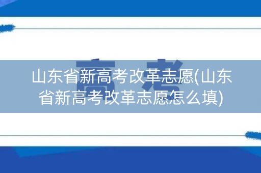 山东省新高考改革志愿(山东省新高考改革志愿怎么填) 山东省新高考改革志愿(山东省新高考改革志愿怎么填)