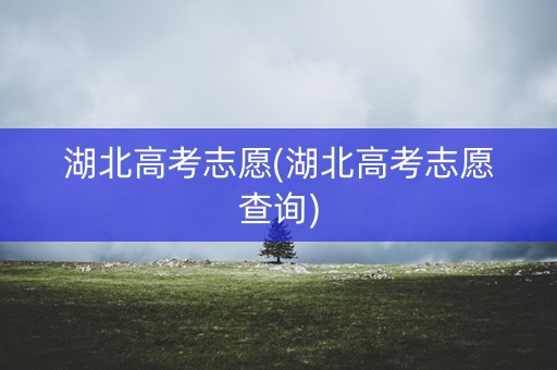 湖北高考志愿(湖北高考志愿查询)