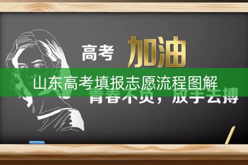 山东高考填报志愿流程图解