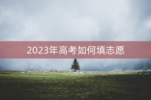 2023年高考如何填志愿