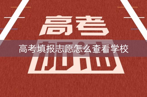 高考填报志愿怎么查看学校