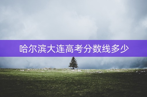 哈尔滨大连高考分数线多少