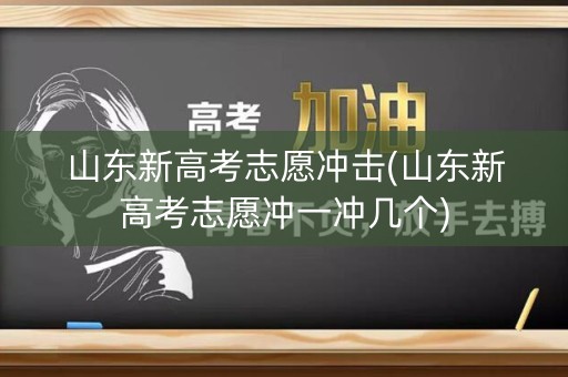 山东新高考志愿冲击(山东新高考志愿冲一冲几个)
