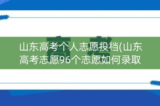 山东高考个人志愿投档(山东高考志愿96个志愿如何录取)
