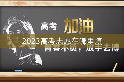 2023高考志愿在哪里填
