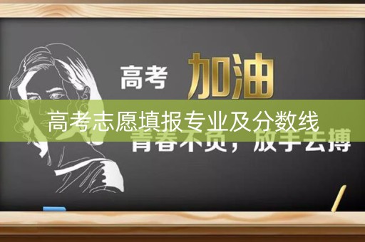 高考志愿填报专业及分数线