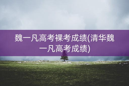 魏一凡高考裸考成绩(清华魏一凡高考成绩)