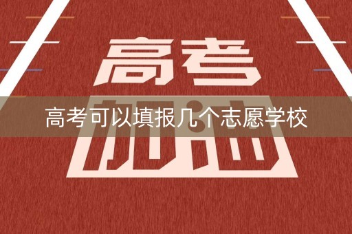 高考可以填报几个志愿学校