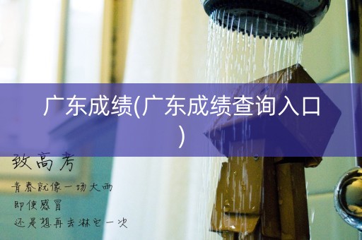 广东成绩(广东成绩查询入口)