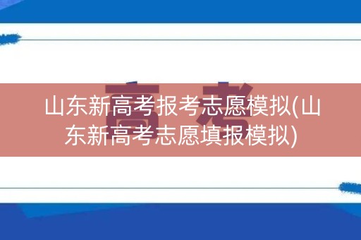 山东新高考报考志愿模拟(山东新高考志愿填报模拟)