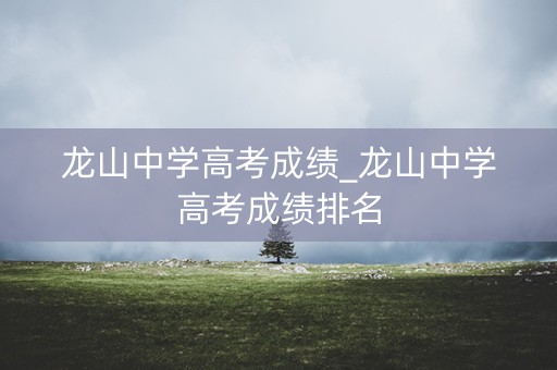 龙山中学高考成绩_龙山中学高考成绩排名
