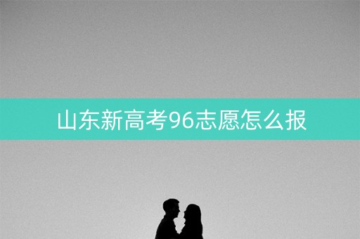 山东新高考96志愿怎么报