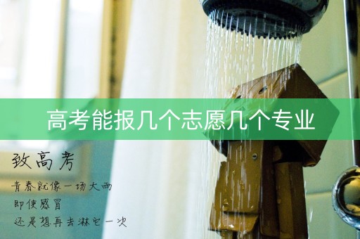 高考能报几个志愿几个专业