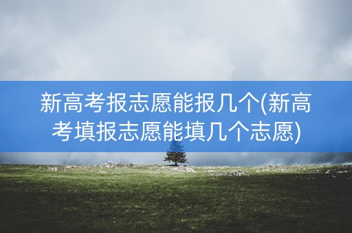 新高考报志愿能报几个(新高考填报志愿能填几个志愿)