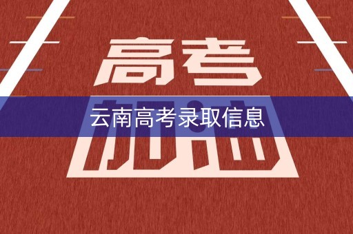 云南高考录取信息