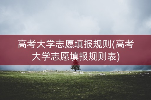 高考大学志愿填报规则(高考大学志愿填报规则表)