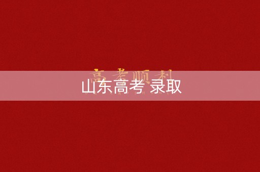 山东高考 录取