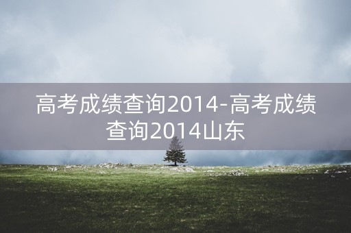 高考成绩查询2014-高考成绩查询2014山东