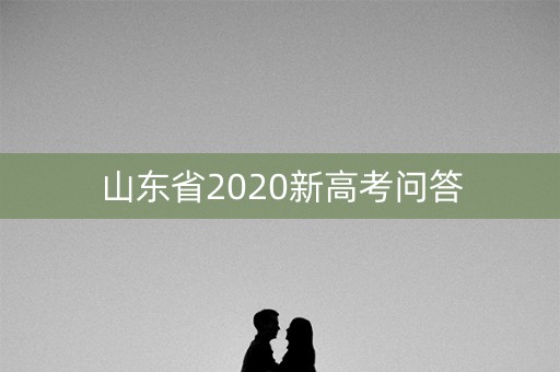 山东省2020新高考问答