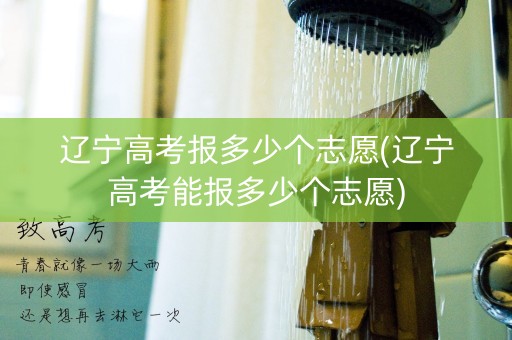 辽宁高考报多少个志愿(辽宁高考能报多少个志愿)