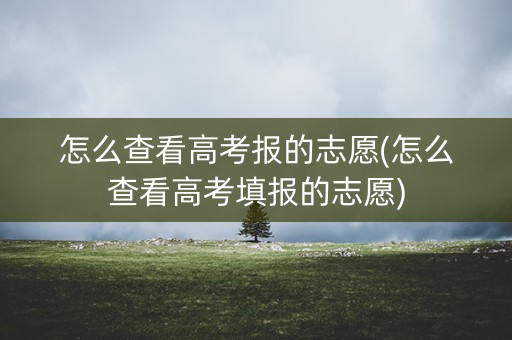怎么查看高考报的志愿(怎么查看高考填报的志愿)