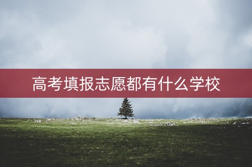 高考填报志愿都有什么学校