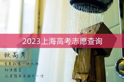 2023上海高考志愿查询